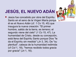 JESÚS, EL NUEVO ADÁN
 Jesús fue concebido por obra del Espíritu
Santo en el seno de la Virgen María porque
él es el Nuevo Adán (cf. 1 Co 15, 45) que
inaugura la nueva creación: "El primer
hombre, salido de la tierra, es terreno; el
segundo viene del cielo" (1 Co 15, 47). La
humanidad de Cristo, desde su concepción,
está llena del Espíritu Santo porque Dios "le
da el Espíritu sin medida" (Jn 3, 34). De "su
plenitud", cabeza de la humanidad redimida
(cf Col 1, 18), "hemos recibido todos gracia
por gracia" (Jn 1, 16).
 