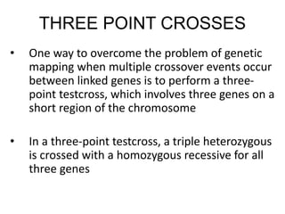 Three Point Crossing 12-LINKAGE_CROSSING-OVER_AND_GENE_MAPPING_IN_EUKARYOTES copy-1.ppt
