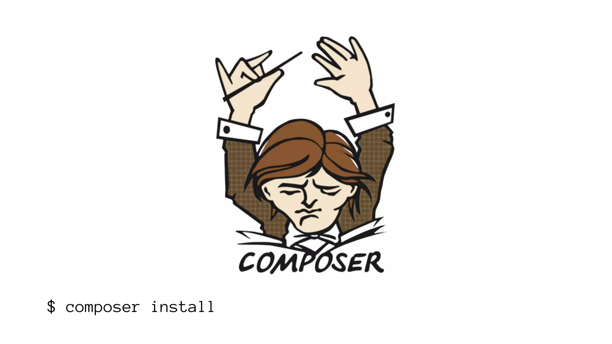 $ composer install