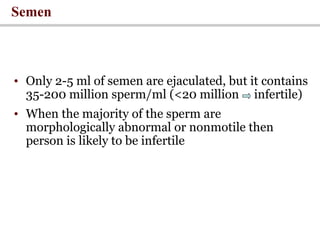 • Only 2-5 ml of semen are ejaculated, but it contains
35-200 million sperm/ml (<20 million infertile)
• When the majority of the sperm are
morphologically abnormal or nonmotile then
person is likely to be infertile
Semen
 