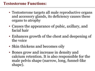 Testosterone Functions:
• Testosterone targets all male reproductive organs
and accessory glands, its deficiency causes these
organs to atrophy
• Causes the appearance of pubic, axillary, and
facial hair
• Enhances growth of the chest and deepening of
the voice
• Skin thickens and becomes oily
• Bones grow and increase in density and
calcium retention. It is also responsible for the
male pelvis shape (narrow, long, funnel-like
shape).
 