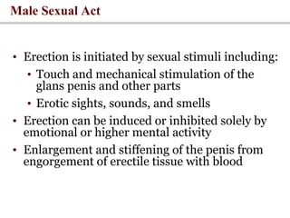 Male Sexual Act
• Erection is initiated by sexual stimuli including:
• Touch and mechanical stimulation of the
glans penis and other parts
• Erotic sights, sounds, and smells
• Erection can be induced or inhibited solely by
emotional or higher mental activity
• Enlargement and stiffening of the penis from
engorgement of erectile tissue with blood
 
