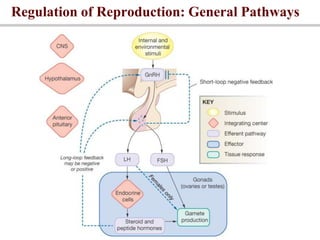 Regulation of Reproduction: General Pathways
 