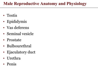 Male Reproductive Anatomy and Physiology
• Testis
• Epididymis
• Vas deferens
• Seminal vesicle
• Prostate
• Bulbourethral
• Ejaculatory duct
• Urethra
• Penis
 