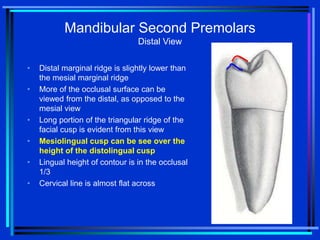 Option A Distal Marginal Ridge 12-Mandibular Premolars-bg.ppt