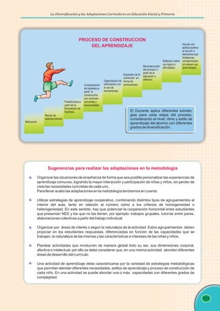 La Diversificación y las Adaptaciones Curriculares en Educación Inicial y Primaria
101
PROCESO DE CONSTRUCCIÓN
DEL APRENDIZAJE Asume una
actitud positiva
al recurrir a
elementos que
fortalezcan,
complementen
y/o eleven sus
aprendizajes.
Reflexión sobre
sus logros y
dificultades.
Reconstrucción
del proceso a
partir de la
aplicación y
reflexión.
Expresión de lo
construido en
forma de
conclusiones.
Organización de
información con
el uso de
herramientas.
Comprobación
de hipótesis a
partir la
construcción
con acciones
concretas y
secuenciadas.
Preediciones a
partir de la
formulación de
hipótesis.
Recojo de
saberes previos.
Motivación
El Docente aplica diferentes estrate-
gias para cada etapa del proceso,
considerando el nivel, ritmo y estilo de
aprendizaje del alumno con diferentes
grados de diversificación.
Sugerencias para realizar las adaptaciones en la metodología
Organizar las situaciones de enseñanza de forma que sea posible personalizar las experiencias de
aprendizaje comunes, logrando la mayor interacción y participación de niñas y niños, sin perder de
vista las necesidades concretas de cada uno.
Para llevar acabo las adaptaciones en la metodología tendremos en cuenta:
Utilizar estrategias de aprendizaje cooperativo, combinando distintos tipos de agrupamientos al
interior del aula, tanto en relación al número como a los criterios de homogeneidad o
heterogeneidad. En este sentido, hay que potenciar la cooperación horizontal entre estudiantes
que presentan NEE y los que no las tienen, por ejemplo: trabajos grupales, tutorías entre pares,
elaboraciones colectivas a partir del trabajo individual.
Organizar por áreas de interés o según la naturaleza de la actividad. Estos agrupamientos deben
propiciar en los estudiantes respuestas, diferenciadas en función de las capacidades que se
trabajan, la naturaleza de las mismas y las características e intereses de las niñas y niños.
Plantear actividades que involucren de manera global todo su ser, sus dimensiones corporal,
afectiva e intelectual; por ello se debe considerar que, en una misma actividad aborden diferentes
áreas de desarrollo del currículo.
Una actividad de aprendizaje debe caracterizarse por la variedad de estrategias metodológicas
que permitan atender diferentes necesidades, estilos de aprendizaje y proceso de construcción de
cada niño. En una actividad se puede abordar una o más capacidades con diferentes grados de
complejidad.
 
