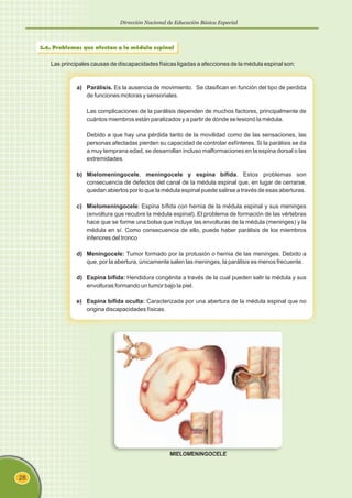 Dirección Nacional de Educación Básica Especial
28
2.6. Problemas que afectan a la médula espinal
Las principales causas de discapacidades físicas ligadas a afecciones de la médula espinal son:
a) Parálisis. Es la ausencia de movimiento. Se clasifican en función del tipo de perdida
de funciones motoras y sensoriales.
Las complicaciones de la parálisis dependen de muchos factores, principalmente de
cuántos miembros están paralizados y a partir de dónde se lesionó la médula.
Debido a que hay una pérdida tanto de la movilidad como de las sensaciones, las
personas afectadas pierden su capacidad de controlar esfínteres. Si la parálisis se da
a muy temprana edad, se desarrollan incluso malformaciones en la espina dorsal o las
extremidades.
b) Mielomeningocele, meningocele y espina bífida. Estos problemas son
consecuencia de defectos del canal de la médula espinal que, en lugar de cerrarse,
quedan abiertos por lo que la médula espinal puede salirse a través de esas aberturas.
c) Mielomeningocele: Espina bífida con hernia de la médula espinal y sus meninges
(envoltura que recubre la médula espinal). El problema de formación de las vértebras
hace que se forme una bolsa que incluye las envolturas de la médula (meninges) y la
médula en sí. Como consecuencia de ello, puede haber parálisis de los miembros
inferiores del tronco
d) Meningocele: Tumor formado por la protusión o hernia de las meninges. Debido a
que, por la abertura, únicamente salen las meninges, la parálisis es menos frecuente.
d) Espina bífida: Hendidura congénita a través de la cual pueden salir la médula y sus
envolturas formando un tumor bajo la piel.
e) Espina bífida oculta: Caracterizada por una abertura de la médula espinal que no
origina discapacidades físicas.
MIELOMENINGOCELE
 