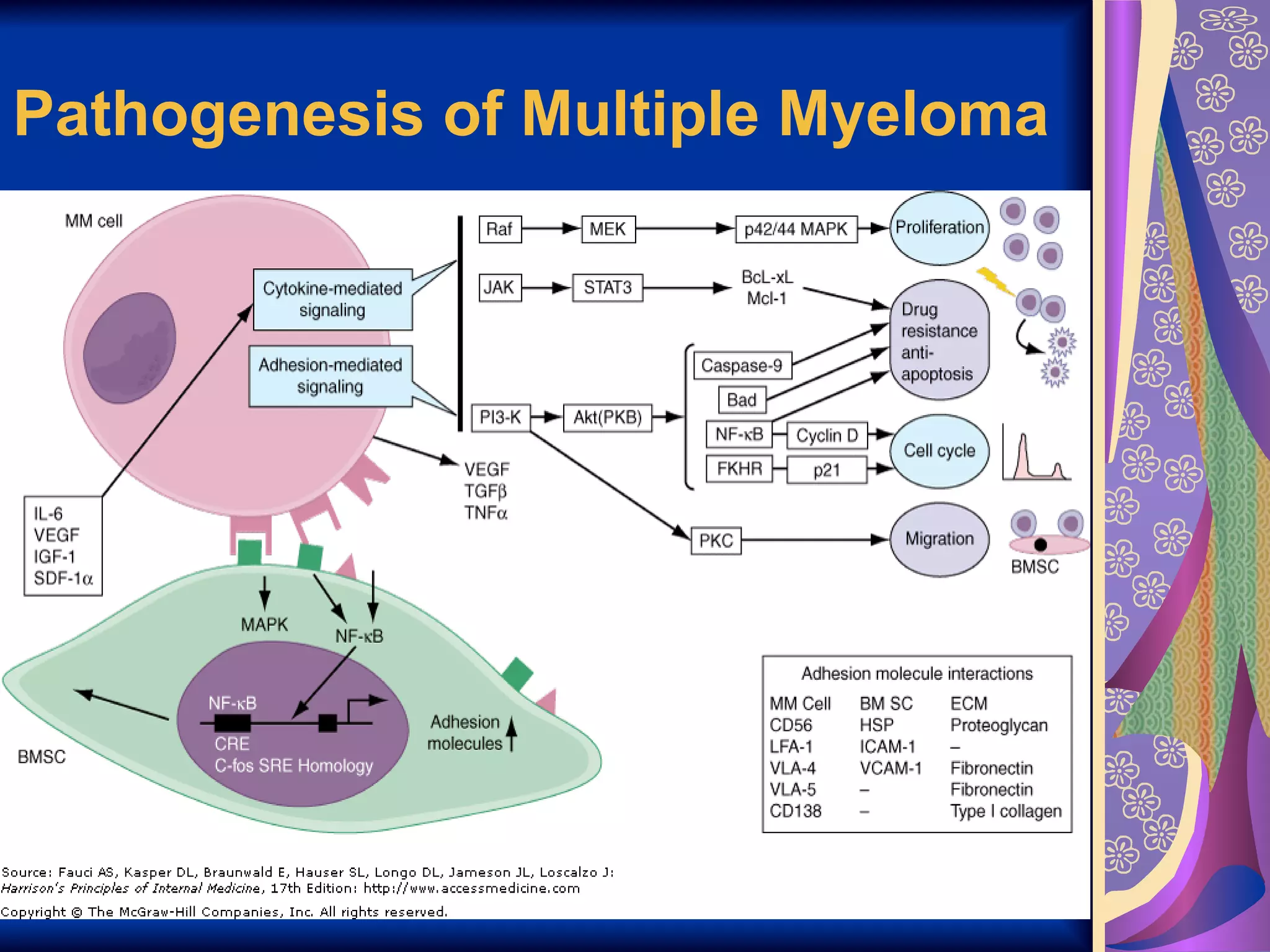 Pathogenesis of Multiple Myeloma   