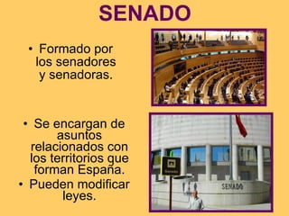 SENADO Formado por los senadores y senadoras. Se encargan de asuntos relacionados con los territorios que forman España. Pueden modificar leyes. 