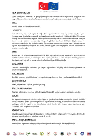 FİDAN DİKİM TERASLARI
Eğimli yamaçlarda en fazla 2 m genişliğinde açılan ve üzerinde orman ağaçları ve ağaççıkları veya
meyve fidanları dikilen teraslar. Teraslar arasındaki mesafe eğimin artmasına bağlı olarak daralır.
FLORA
Belli bir alanda bulunan bitkilerin tümü.
FOTOSENTEZ
Yeşil bitkilerin, mavi-yeşil algler ile diğer bazı organizmaların hücre yapılarında meydana gelen
kimyasal olay. Bu olayla güneş ışığı ve havadan alınan karbondioksit, bitkilerdeki klorofil maddesi
aracılığı ile çözümlenerek organik madde (karbonhidratlar) üretilir. Fotosentez sırasında güneşten
alınan enerji, bitkinin hücrelerinde kimyasal yönden tutularak bitkilerin büyümesinde ve
solunumunda kullanılır. Bu nedenle bitkiler, fotosentezle hem organik madde üretir, hem de üretilen
organik maddede enerji depolar. Bu enerji, bitkileri yiyen canlılara geçerek onların beslenmesi ve
hareket etmesini sağlar.
GARİG
Akdeniz ve Ege bölgesinin kıyı kesimlerinde, kireçtaşından oluşan sığ topraklarda veya bozulmuş
makilik alanlarda yer alan, makilere göre daha seyrek yetişen ve ancak 1.0 m.’ye kadar boy yapabilen
daimi yeşil, sert yapraklı ve bazıları dikenli çalılardan oluşan bitki topluluğu.
GENÇLEŞTİRME
Ormanın devamlılığını sağlamak için çeşitli uygulamalar ile genç neslin sahaya gelmesini ve
gelişmesini sağlamak.
GENÇLİK BAKIMI
Gençliğin yaşaması ve iyi büyümesi için uygulanan seyreltme, ot alma, çapalama gibi bakım işleri.
GENETİK ÇEŞİTLİLİK
Bir tür, varyete veya soydaki genlerin çeşitliliği.
GENİŞ YAPRAKLI AĞAÇLAR
Kozalaklı bitkilerdeki ince, ibre şeklindeki yapraklara değil, geniş yapraklara sahip olan ağaçlar.
GENOTİP
Bir organizmanın genetik bileşimi. Kalıtsal yapı ve içsel karakter ile kazanılmış olan genetik özellikler
sonucu meydana gelmiş şekillenmiş bulunan organizmalar. Genotip, hücrelerindeki özellikler ve özel
reaksiyon şekli ile çeşitli çevre faktörlerinin etkisi altında kalır. Kısaca ortam koşullarına göre
kazanılmış farklı bir genetik tip oluşur.
GÖLGE BİTKİLERİ
Gölgede veya düşük güneş ışığında yetişen, bu koşullarda iyi gelişen ve büyüme yapan bitkiler. Bu
bitkiler orman altında veya bulutlu ortamlarda yetişir.
HABİTAT (ÖZEL YAŞAM ORTAMI)
Herhangi bir organizma veya popülasyonun doğal olarak bulunduğu yer veya çevre tipi.
 