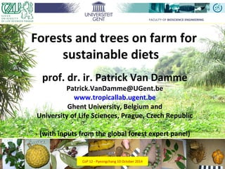 Forests and trees on farm for 
sustainable diets 
prof. dr. ir. Patrick Van Damme 
Patrick.VanDamme@UGent.be 
www.tropicallab.ugent.be 
Ghent University, Belgium and 
University of Life Sciences, Prague, Czech Republic 
(with inputs from the global forest expert panel) 
CoP 12 - Pyeongchang 10 October 2014 
 