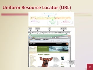 BAB 12 - Pembangunan Laman web