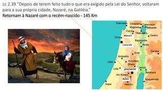 Lc 2.39 “Depois de terem feito tudo o que era exigido pela Lei do Senhor, voltaram
para a sua própria cidade, Nazaré, na Galiléia.“
Retornam à Nazaré com o recém-nascido - 145 Km
 