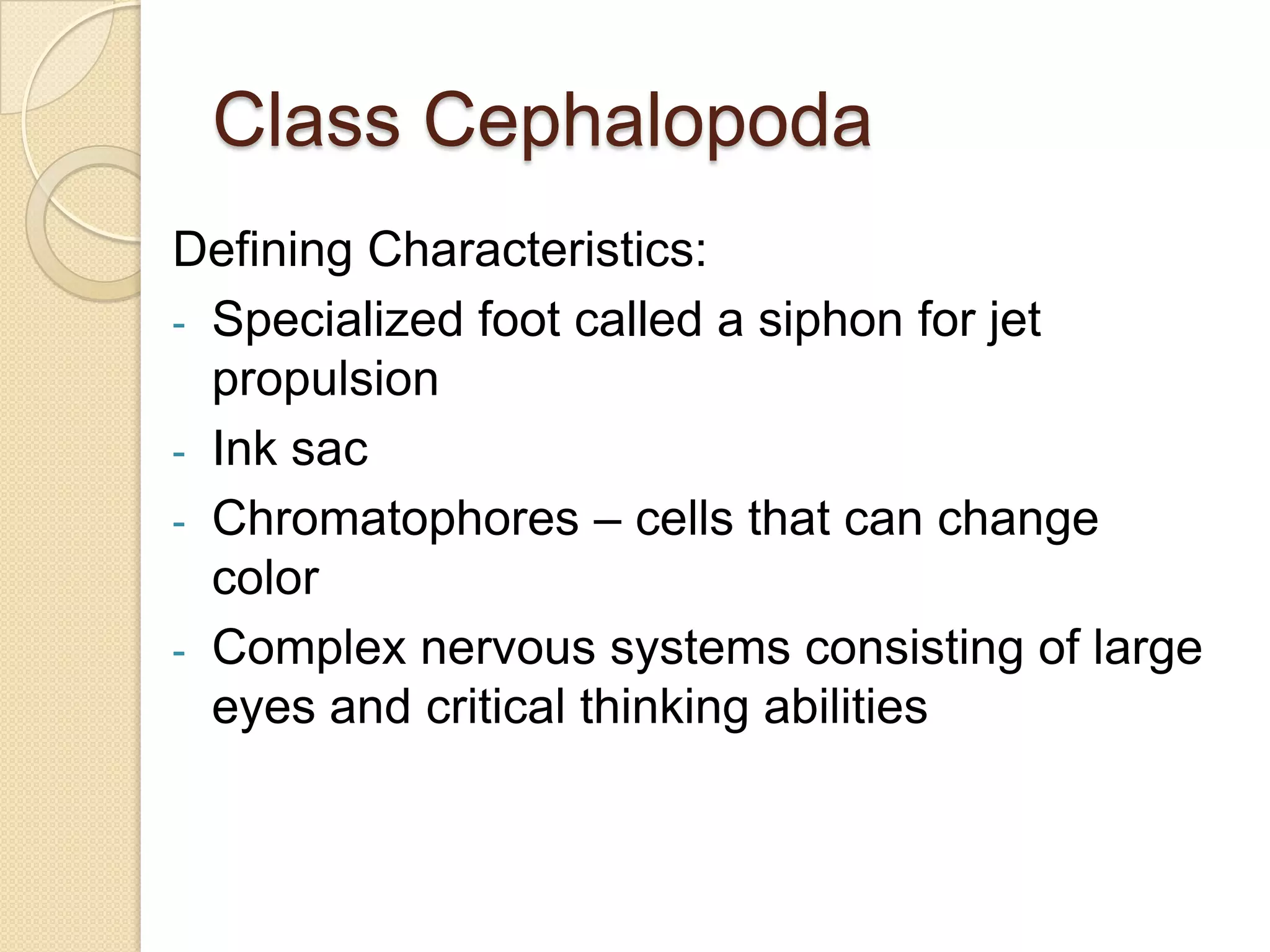 Clam				OysterMussel				Scallop