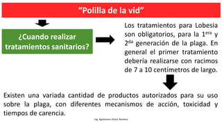 “Polilla de la vid”
Ing. Agrónomo Víctor Romero
Existen una variada cantidad de productos autorizados para su uso
sobre la plaga, con diferentes mecanismos de acción, toxicidad y
tiempos de carencia.
¿Cuando realizar
tratamientos sanitarios?
Los tratamientos para Lobesia
son obligatorios, para la 1era y
2da generación de la plaga. En
general el primer tratamiento
debería realizarse con racimos
de 7 a 10 centímetros de largo.
 