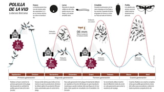 Ing. Agrónomo Víctor Romero
 