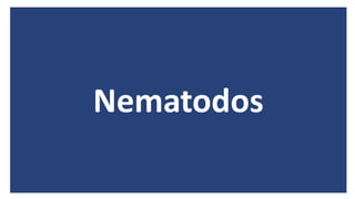 Nematodos
 