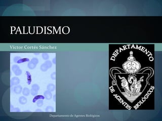 PALUDISMO
Víctor Cortés Sánchez




                 Departamento de Agentes Biológicos
 