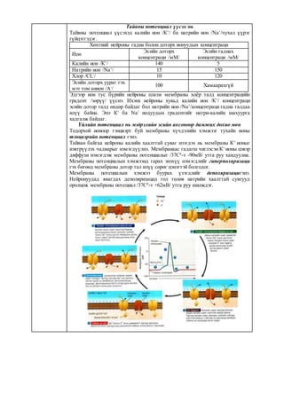12 r angi biologi angiin daalgavar | PDF