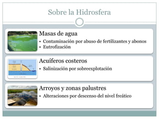 Sobre la Hidrosfera
Masas de agua
• Contaminación por abuso de fertilizantes y abonos
• Eutrofización
Acuíferos costeros
• Salinización por sobreexplotación
Arroyos y zonas palustres
• Alteraciones por descenso del nivel freático
 