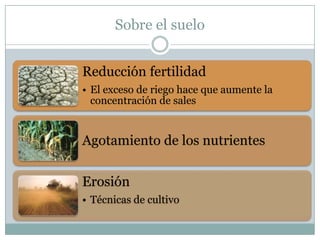 Sobre el suelo
Reducción fertilidad
• El exceso de riego hace que aumente la
concentración de sales
Agotamiento de los nutrientes
Erosión
• Técnicas de cultivo
 