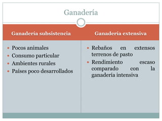 Ganadería subsistencia Ganadería extensiva
 Pocos animales
 Consumo particular
 Ambientes rurales
 Países poco desarrollados
 Rebaños en extensos
terrenos de pasto
 Rendimiento escaso
comparado con la
ganadería intensiva
Ganadería
 