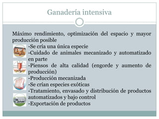 Ganadería intensiva
Máximo rendimiento, optimización del espacio y mayor
producción posible
-Se cría una única especie
-Cuidado de animales mecanizado y automatizado
en parte
-Piensos de alta calidad (engorde y aumento de
producción)
-Producción mecanizada
-Se crían especies exóticas
-Tratamiento, envasado y distribución de productos
automatizados y bajo control
-Exportación de productos
 