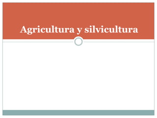 Agricultura y silvicultura
 