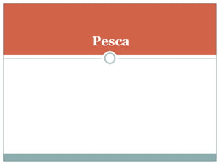 Pesca
 