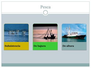 Pesca
Subsistencia De bajura De altura
 