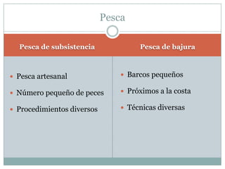 Pesca de subsistencia Pesca de bajura
 Pesca artesanal
 Número pequeño de peces
 Procedimientos diversos
 Barcos pequeños
 Próximos a la costa
 Técnicas diversas
Pesca
 