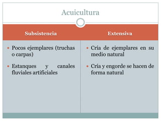 Subsistencia Extensiva
 Pocos ejemplares (truchas
o carpas)
 Estanques y canales
fluviales artificiales
 Cría de ejemplares en su
medio natural
 Cría y engorde se hacen de
forma natural
Acuicultura
 