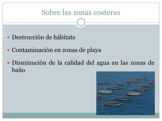 Sobre las zonas costeras
 Destrucción de hábitats
 Contaminación en zonas de playa
 Disminución de la calidad del agua en las zonas de
baño
 