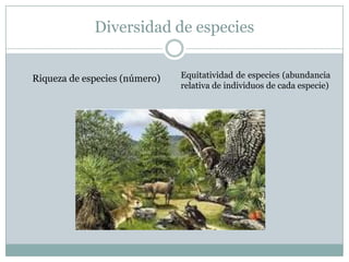 Diversidad de especies
Riqueza de especies (número) Equitatividad de especies (abundancia
relativa de individuos de cada especie)
 