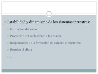  Estabilidad y dinamismo de los sistemas terrestres:
 Formación del suelo
 Protección del suelo frente a la erosión
 Responsables de la formación de oxígeno atmosférico
 Regulan el clima
 …
 