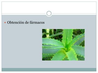  Obtención de fármacos
 