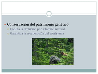  Conservación del patrimonio genético
 Facilita la evolución por selección natural
 Garantiza la recuperación del ecosistema
 