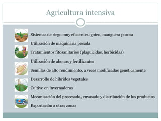 Agricultura intensiva
Sistemas de riego muy eficientes: goteo, manguera porosa
Utilización de maquinaria pesada
Tratamientos fitosanitarios (plaguicidas, herbicidas)
Utilización de abonos y fertilizantes
Semillas de alto rendimiento, a veces modificadas genéticamente
Desarrollo de híbridos vegetales
Cultivo en invernaderos
Mecanización del procesado, envasado y distribución de los productos
Exportación a otras zonas
 