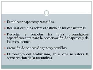  Establecer espacios protegidos
 Realizar estudios sobre el estado de los ecosistemas
 Decretar y respetar las leyes promulgadas
específicamente para la preservación de especies y de
los ecosistemas
 Creación de bancos de genes y semillas
 El fomento del ecoturismo, en el que se valora la
conservación de la naturaleza
 