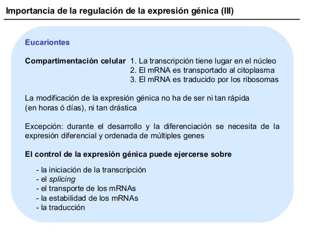 12. regulacion de la expresion genica en procariontes
