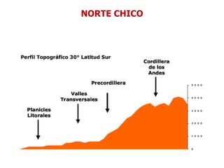 NORTE CHICO
 