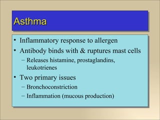 Asthma
• Inflammatory response to allergen
• Antibody binds with & ruptures mast cells
  – Releases histamine, prostaglandins,
    leukotrienes
• Two primary issues
  – Bronchoconstriction
  – Inflammation (mucous production)
 