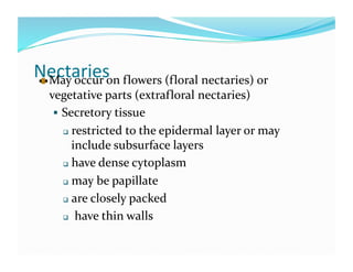 Nectaries 

  May occur on flowers (floral nectaries) or 
   vegetative parts (extrafloral nectaries)  
      Secretory tissue  
         restricted to the epidermal layer or may 

          include subsurface layers 
         have dense cytoplasm 

         may be papillate 

         are closely packed  

          have thin walls 
 