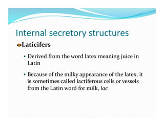 Internal secretory structures 

   aticifers 
  L
    Derived from the word latex meaning juice in 
    Latin 
    Because of the milky appearance of the latex, it 
    is sometimes called lactiferous cells or vessels 
    from the Latin word for milk, lac 
 