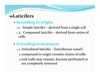   aticifers 
  L
   According to origin: 
     1.  Simple laticifer – derived from a single cell 
     2.  Compound laticifer – derived from union of 

      cells 

   According to structure: 
       1. Articulated laticifer ‐ (laticiferous vessel) 
         
   compound in origin consists chains of cells 

         
   end walls may remain, become perforated or 

             are completely removed 
 