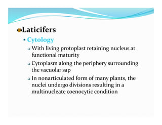   aticifers 
  L
   Cytology 
     With living protoplast retaining nucleus at 
      functional maturity 
     Cytoplasm along the periphery surrounding 

      the vacuolar sap 
     In nonarticulated form of many plants, the 

      nuclei undergo divisions resulting in a 
      multinucleate coenocytic condition 
 