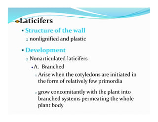   aticifers 
  L
    Structure of the wall 
       nonlignified and plastic 

   Development 
       Nonarticulated laticifers 
        
  A.  Branched   

           o  Arise when the cotyledons are initiated in 
             the form of relatively few primordia 
          o  grow concomitantly with the plant into 
           branched systems permeating the whole 
           plant body 
 