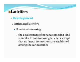   aticifers 
  L
   Development 

      Articulated laticifers 
       
    B. nonanastomosing  
            o    the development of nonanastomosing kind 
                 is similar to anastomosing laticifers, except 
                 that no lateral connections are established 
                 among the various tubes 
 