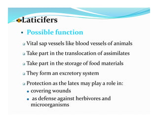   aticifers 
  L
    Possible function 
     Vital sap vessels like blood vessels of animals 
     Take part in the translocation of assimilates 
     Take part in the storage of food materials 
     They form an excretory system 
     Protection as the latex may play a role in: 
      
   covering wounds 

      
    as defense against herbivores and 

          microorganisms 
 