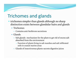 Trichomes and glands 
  trichomes simpler than glands although no sharp 
 distinction exists between glandular hairs and glands 
    Trichomes 
        Contains anti‐herbivore secretions  
    Glands 
        Salt glands‐ mechanism for the plant to get rid of excess salt 
         absorbed from the environment 
           Function of plants living in salt marshes and salt infiltrated 
            soils in coastal marine areas 
        Glands of insectivorous plants‐secrete digestive juices 
 